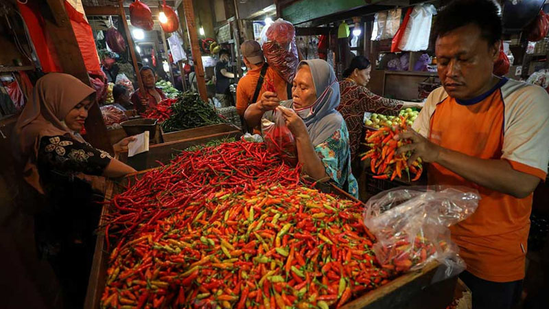 Harga Pangan Hari Ini 7 Maret Beras Bawang Minyak Turun Cabai Naik